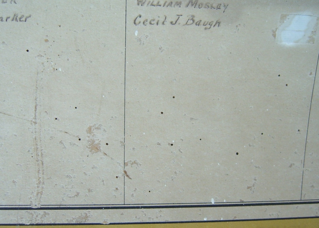 Insect damage to the Roll - boring through the paper